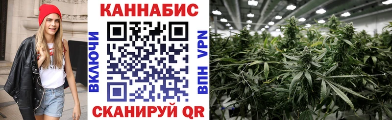 Бошки Шишки индика  сайты даркнета какой сайт  Перевоз  закладка 